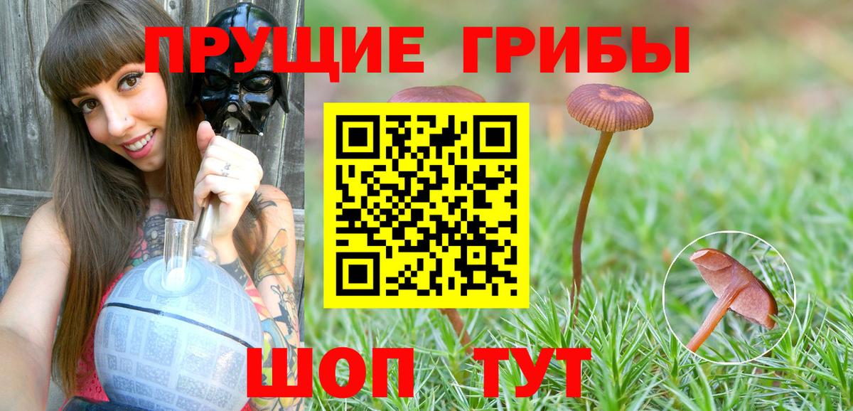 Псилоцибиновые грибы ЛСД Воскресенск