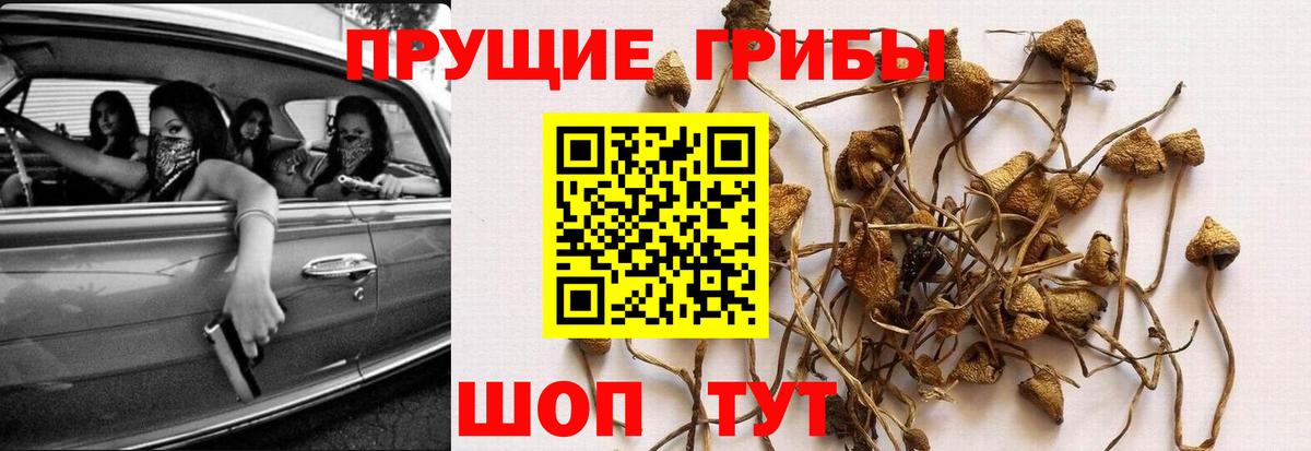 Галлюциногенные грибы прущие грибы  Вход с VPN  Воскресенск  где можно купить наркотик  Галлюциногенные грибы MAGIC MUSHROOMS 